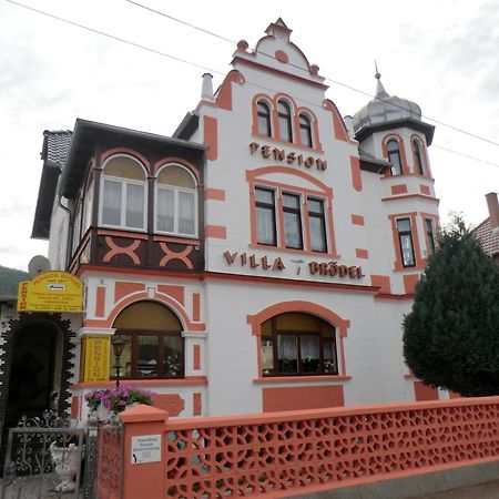 Pension Villa Broedel Bad Blankenburg Luaran gambar